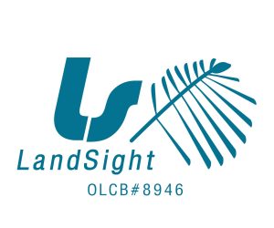 LandSight