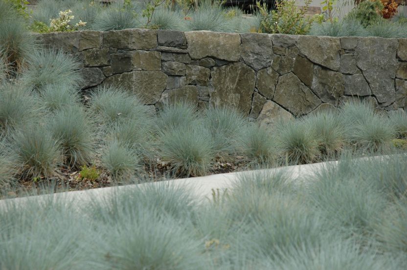 the sidewalk cuts through a bunch grass 'meadow' at the base of the lower wall